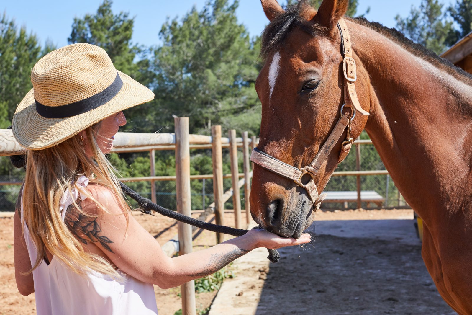 Villas Ibiza Spain - 